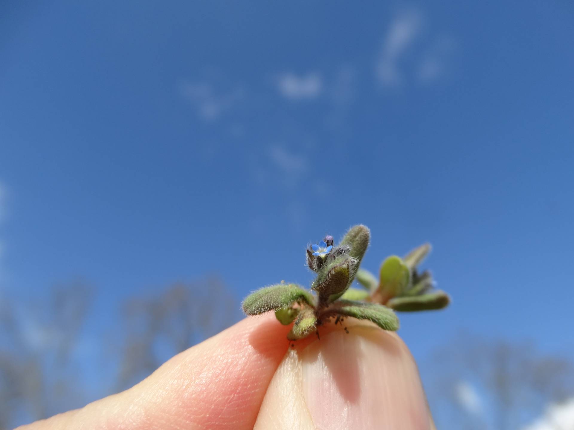 Unutmabeni
